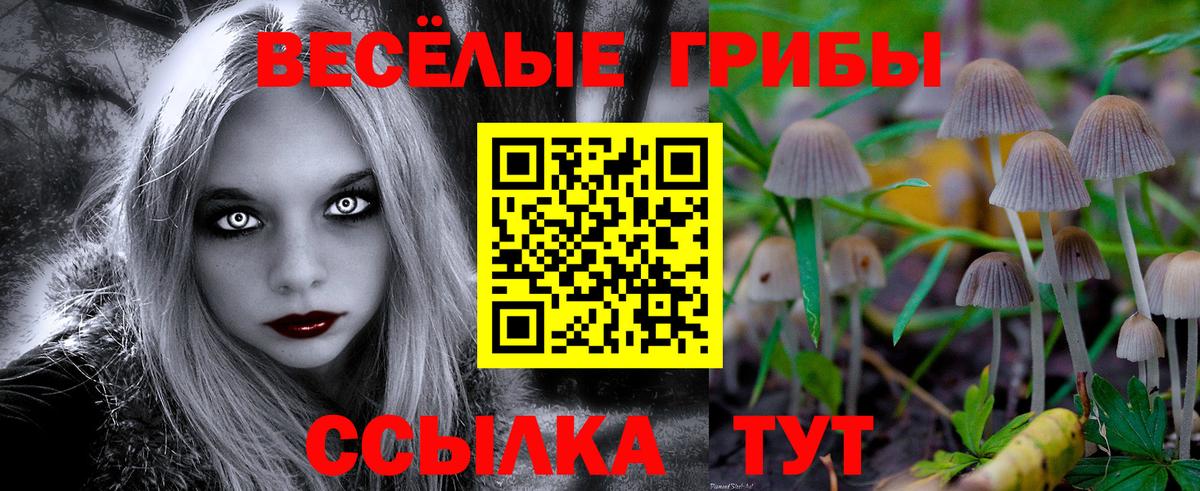 Галлюциногенные грибы прущие грибы Лесосибирск