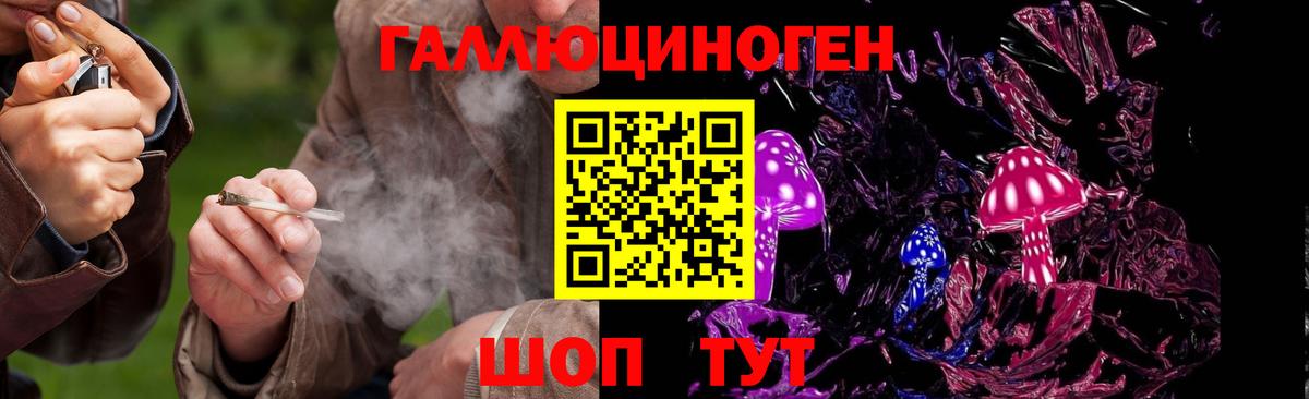 Галлюциногенные грибы Cubensis  где продают   Лесосибирск  Вход с VPN 